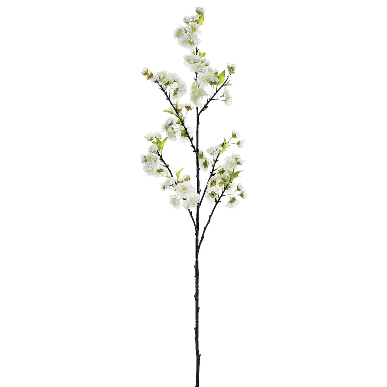 24 Pack: White Cherry Blossom Stem